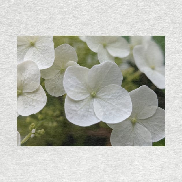 Delicate White Tree Flowers by AustaArt